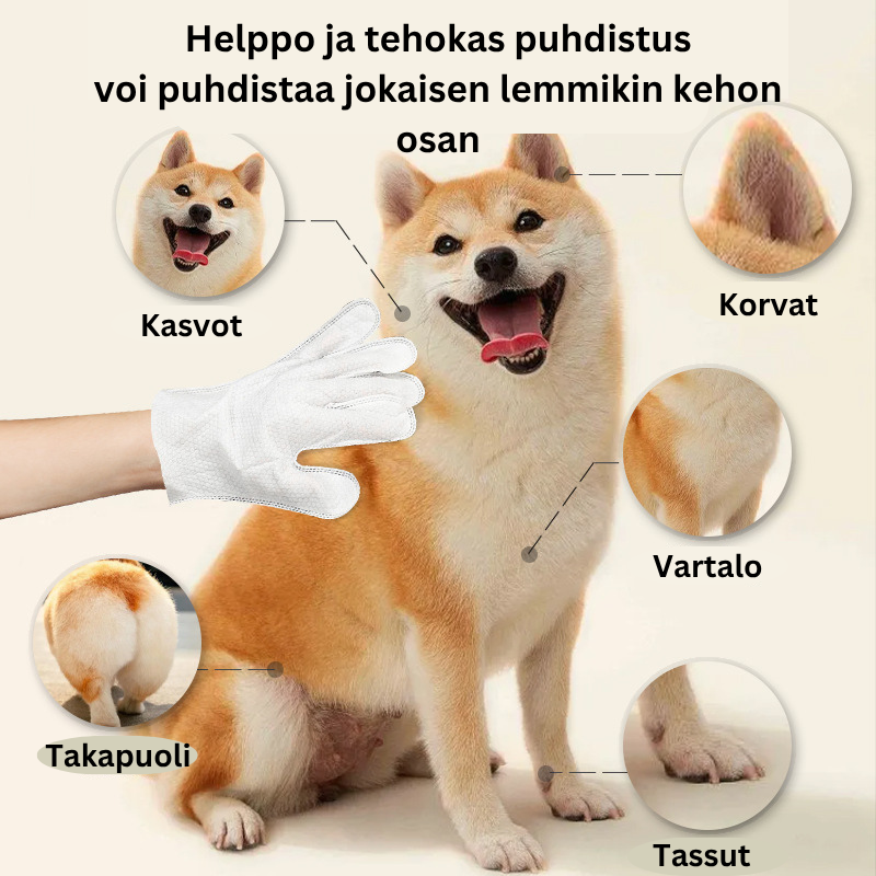 Crni Kurac